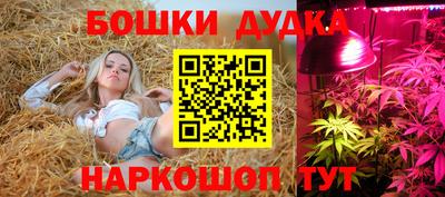 ПСИЛОЦИБИНОВЫЕ ГРИБЫ Железноводск