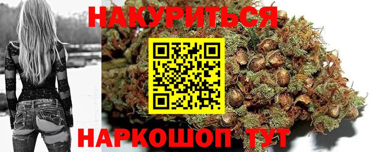 Алексин  Конопля гибрид  Канабис Bruce Banner  Вход с VPN  Шишки марихуана планчик  Марихуана конопля 